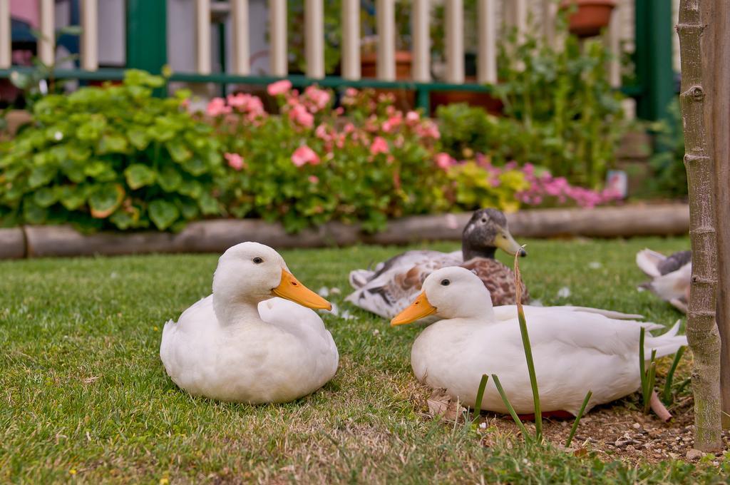 Warragul Gardens Holiday Park 외부 사진